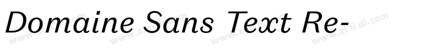 Domaine Sans Text Re字体转换